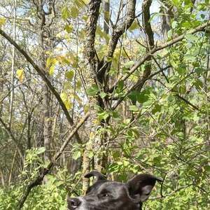 Meet your Posher, Cathy